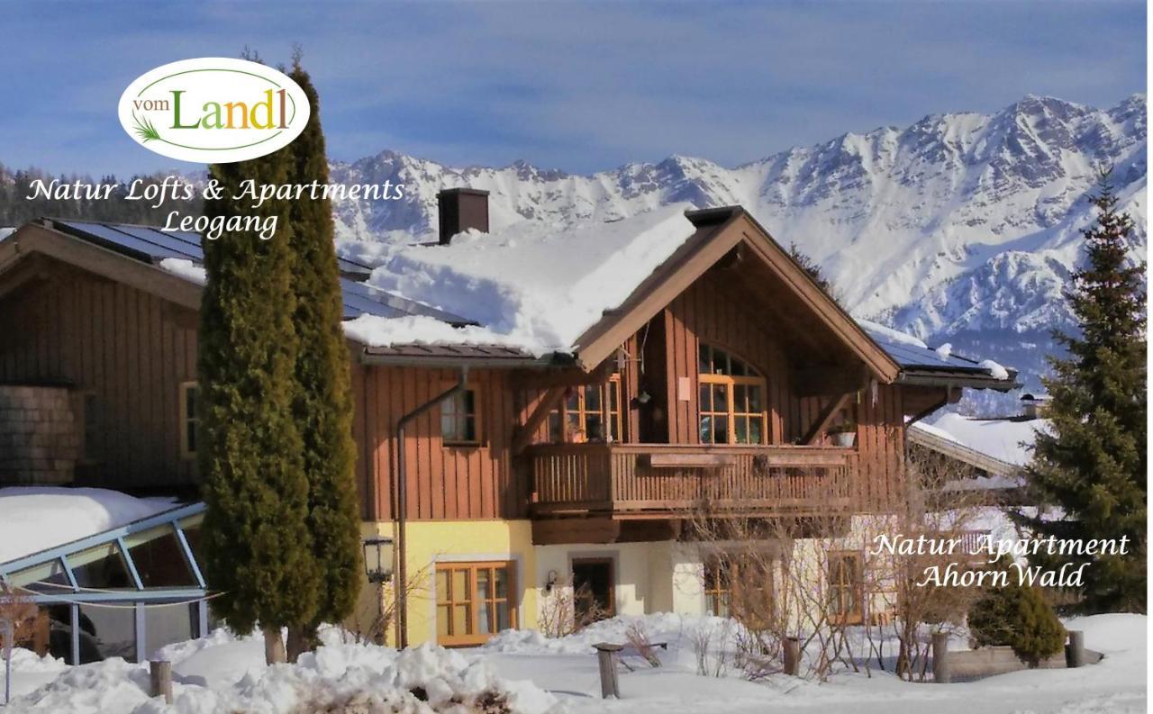 103 M2 Eschenwald Vomlandl Apartment Leogang